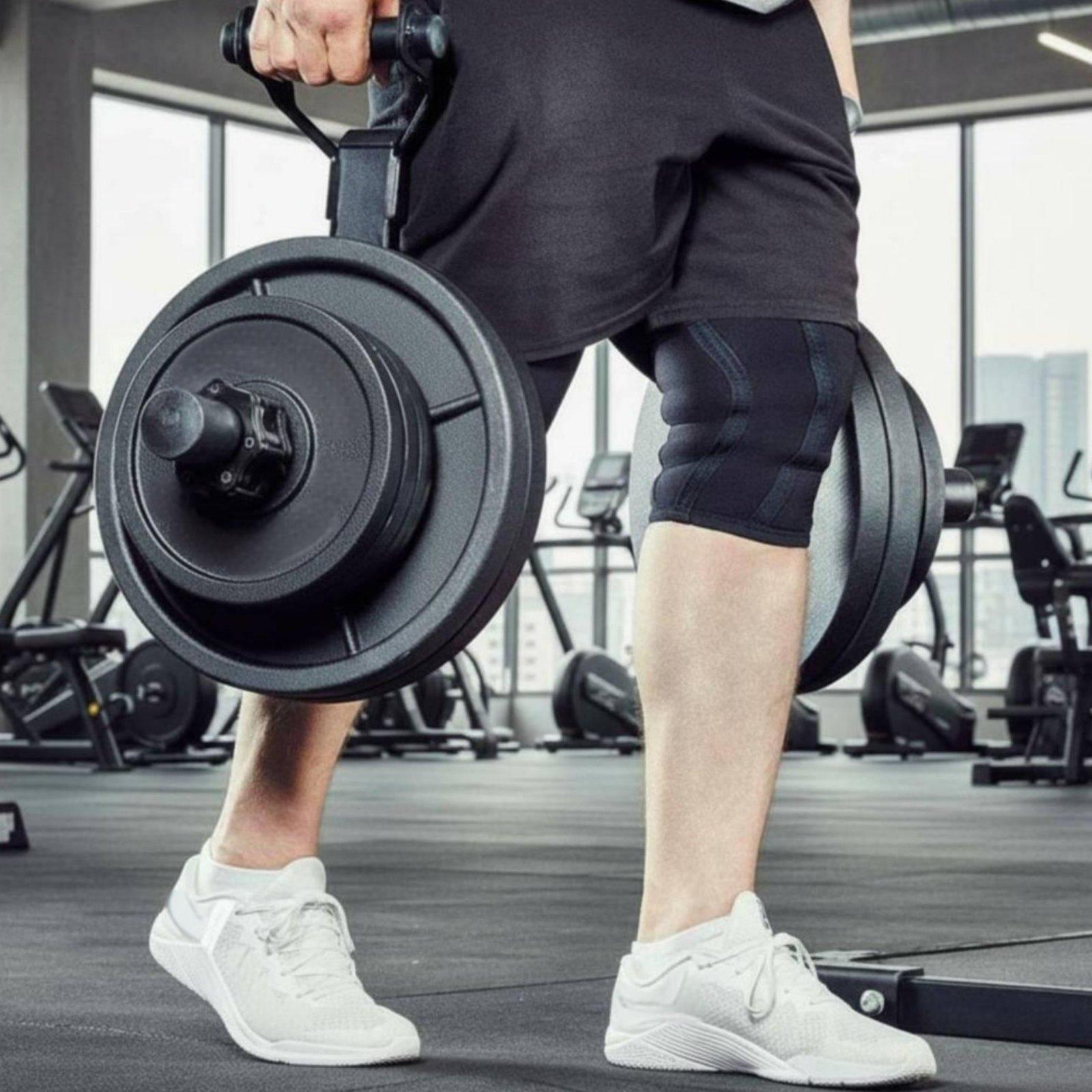 Multi-size Barbell Plate Holde - Home Gym Usa recension och pris